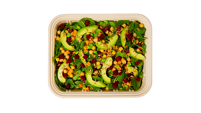 Beet Davidson Family Salad [v]